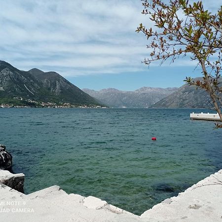 Apartman Milena 1 Kotor Exterior foto