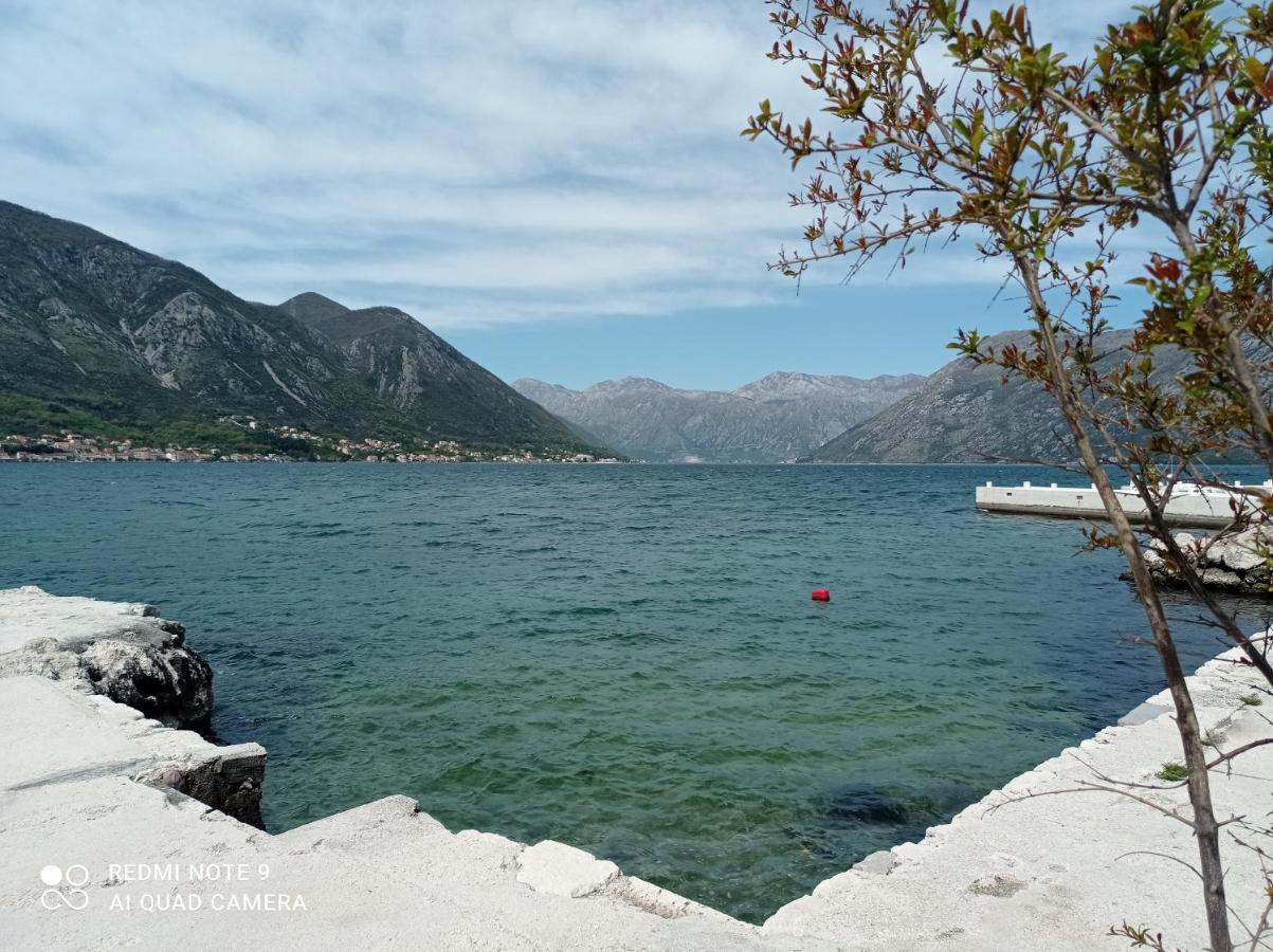 Apartman Milena 1 Kotor Exterior foto